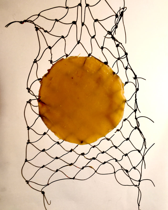 Circle, beeswax, trapped, net,